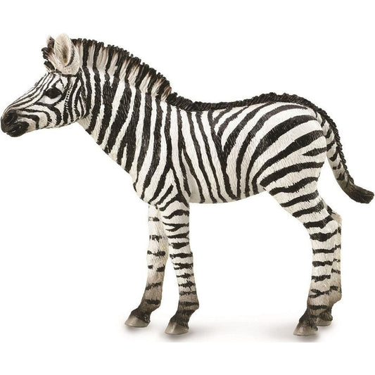 Zebra Foal (M) - Toybox Tales